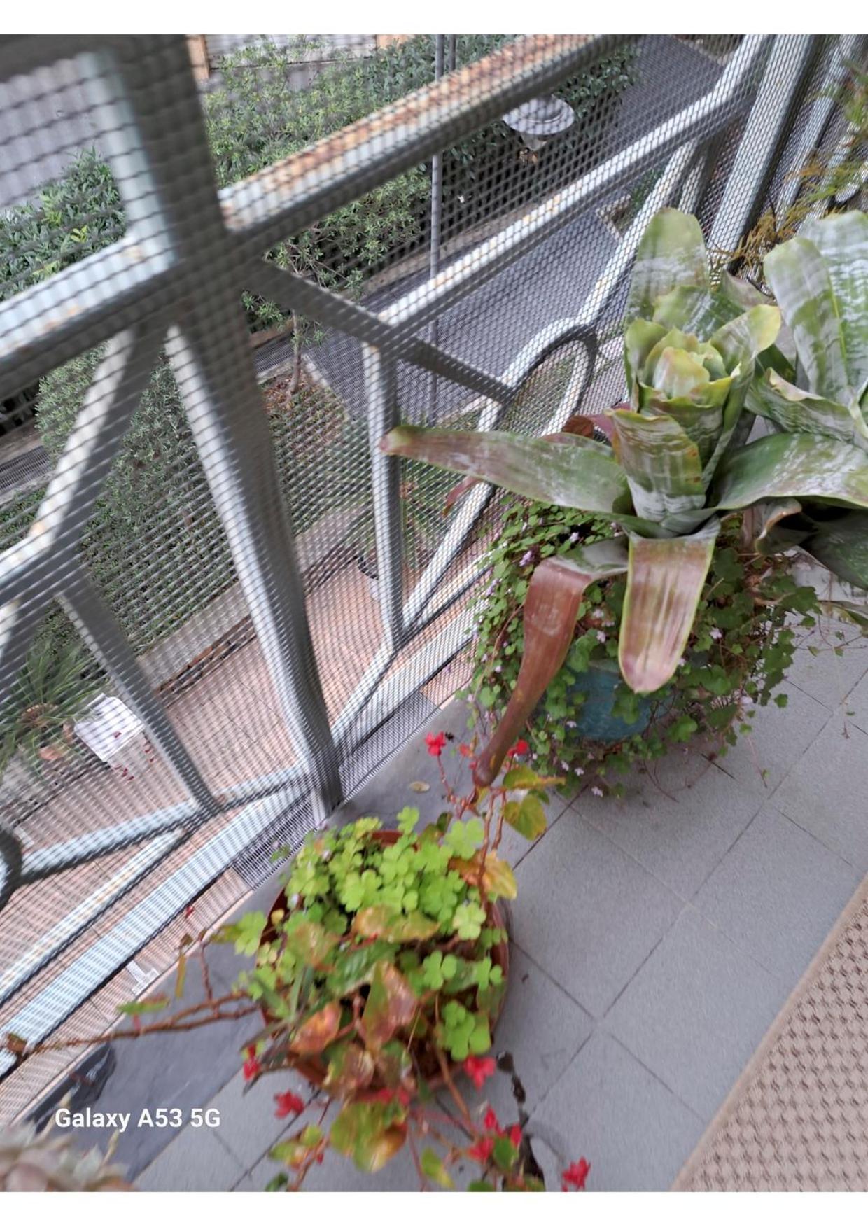 Apartamento Centrale Vicino Spiagge E Ciclabile + Box-Auto ! Arma di Taggia Exterior foto